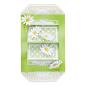Preview: Spellbinders Die "Daisy Delight Garden Shutters A2 Card Base " Stanzschablone