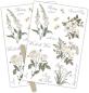 Preview: Craft Consortium Belle Fleur Rub On Transfers  