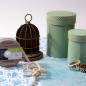 Preview: Vaessen Naturband " Cotton Line Cord 5mx6mm" 