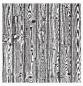 Preview: My Favorite Things "Wood Plank" 6x6" Background Cling Stamp