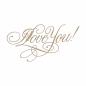 Preview: Spellbinders Hotfoil Plate - "Copperplate Script I Love You"