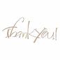 Preview: Spellbinders Hotfoil Plate - "Thank You"