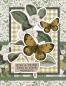 Preview: Simple Stories  Simple Cards Kit Rise & Shine  Simple Cards Kit - Bits & Pieces