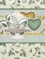 Preview: Simple Stories  Simple Cards Kit Rise & Shine  Simple Cards Kit - Bits & Pieces
