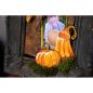 Preview: Sizzix Thinlits Craft Die-Set -  Pumpkin Duo Colorize 
