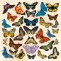 Preview: Crafters Companion - Dies -Timeless Butterfly Collection Topper Sheets & Dies - Stanze - Topper-Bögen
