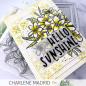 Preview: Picket Fence Studios - Clear Stamp - "Plumeria Rubra" Stempel 