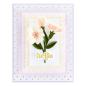Preview: Spellbinders Dies "Postage Edge Rectangles Etched" Stanzschablonen