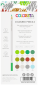 Preview: Spectrum Noir - Colorista Coloured Pencil - " Natural Landscape " - Buntstifte