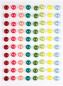 Preview: Craft Consortium - Enamel Dots - "  Little Robin Redbreast " - Klebesteine 