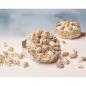 Preview: House of Crafts - Mosaic Shell Kit - "Start a Craft"  - Bastelkit - Kit