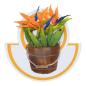 Preview: Spellbinders - Dies - "Bird of Paradise" - Stanzschablonen