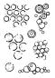 Preview: Woodware - Stempel "Circles" Clear Stamps 