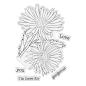 Preview: Crafters Companion - Stempel & Stanzschablone "Daisy Bloom " Stamp & Dies
