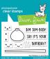 Preview: Lawn Fawn - Stempel "Year Thirteen" Clear Stamps