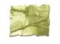 Preview: Ranger - Tim Holtz Distress Spray Stain "Peeled paint"