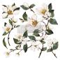 Preview: Re-Design with Prima - Transfer Aufkleber 12x12 Inch "Magnolia Garden" Decor Transfer 2 Bogen 