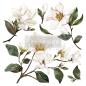 Preview: Re-Design with Prima - Transfer Aufkleber 12x12 Inch "Magnolia Garden" Decor Transfer 2 Bogen 