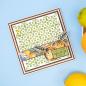 Preview: Crafters Companion - Stanzschablone "Mediterranean Tile" Dies