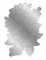 Preview: Gemini - Stanzschablone "Anemones" Dies