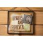 Preview: Sizzix - Stanzschablone "Specimen" Thinlits Craft Dies by Tim Holtz