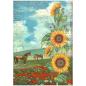 Preview: Stamperia - Decopatch Papier "Selection" Decoupage A4 - 6 Bogen  