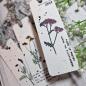 Preview: Creative Expressions - Stempelset A6 "Meadow Beauty" Clear Stamps