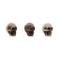 Preview: Tim Holtz - Idea Ology - Resin Totenköpfe "Skulls + Bones"