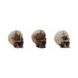 Preview: Tim Holtz - Idea Ology - Resin Totenköpfe "Skulls + Bones"