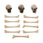 Preview: Tim Holtz - Idea Ology - Resin Totenköpfe "Skulls + Bones"