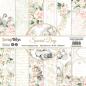 Preview: ScrapBoys - Designpapier "Special Day" Paper Pack 8x8 Inch - 12 Bogen