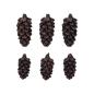 Preview: Tim Holtz - Idea Ology - Miniatur Tannenzapfen "Pinecones"