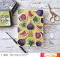 Preview: Creative Expressions - Stempelset "What the Fig" Clear Stamps 4x6 Inch Design by Jane's Doodles