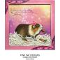 Preview: Pink Ink Designs - Stempelset "Guinea Wig" Clear Stamps