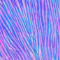 Preview: Crafters Companion - Designpapier "Neon Dreams" Paper Pack 6x6 Inch - 24 Bogen