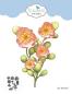 Preview: Elizabeth Craft Designs - Stanzschalone "Wild Flower 3" Dies