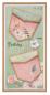 Preview: Studio Light - Designpapier "Nature Lover" Paper Pack 6x6 Inch - 36 Bogen