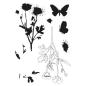 Preview: Sizzix - Stanzschablone & Stempelset "Painted Pencil Botanical" Framelits Craft Dies & Clear Stamps by 49 and Market