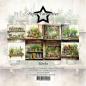 Preview: Paper Favourites - Designpapier "Herbs" Paper Pack 6x6 Inch - 24 Bogen