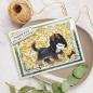 Preview: Creative Expressions - Stempelset "Pet Pals" Clear Stamps 15,2x10,16cm Design by Sue Wilson