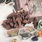 Preview: Prima Marketing - Stanzteile "Nature Academia" Ephemera II