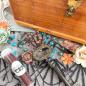 Preview: Prima Marketing - Strasssteine "Nature Academia" Say It In Crystals 48 Stück