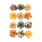 Preview: Prima Marketing - Papier Blumen "Diamond" Flowers Beautiful Sunset