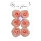 Preview: Prima Marketing - Papier Blumen "The Plant Department" Flowers Peachy Keen
