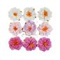 Preview: Prima Marketing - Papier Blumen "Avec Amour" Flowers Blushing