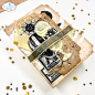 Preview: Elizabeth Craft Designs - Stempel & Stanzeschablone "Around the World" Stamp & Dies
