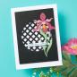 Preview: Spellbinders - Stanzschablone "Stitched Edge Circle Backgrounds" Dies