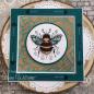 Preview: Creative Expressions - Stempelset "Bee Amazing" Clear Stamps 6x8 Inch Design by Dora