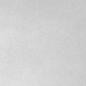 Preview: Pink Ink Designs - Pigmentpulver "Silver Moon" Stardust 10ml