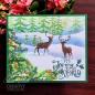 Preview: Creative Expressions - Stempelset "Tis' The Season" Clear Stamps 6x8 Inch Design by Taylor Made Journals
